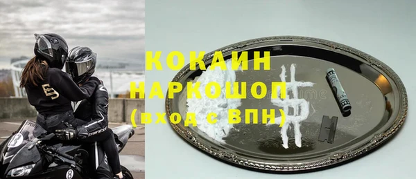 стаф Алексин