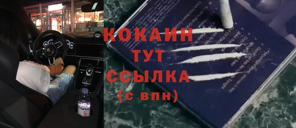 бошки Алзамай