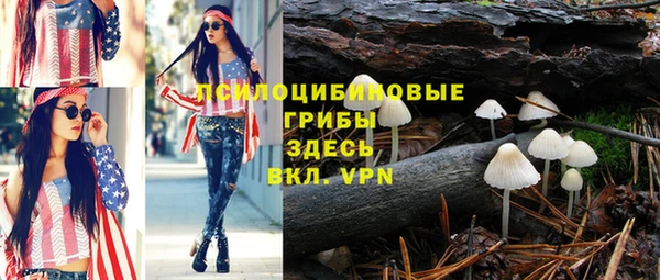 бошки Алзамай