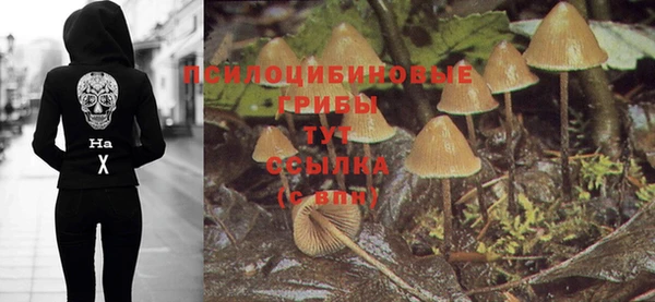 стаф Алексин