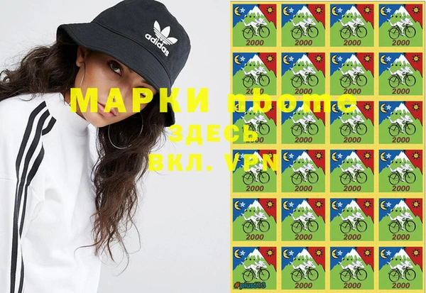 стаф Алексин