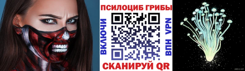 Галлюциногенные грибы прущие грибы  shop наркотические препараты  Тогучин  гидра tor 